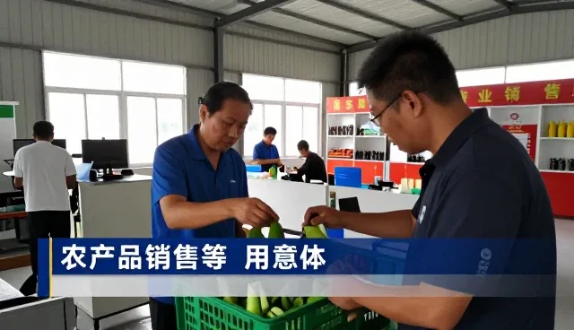 苏州俏江南生物科技有限公司分享农产品销售等应用案例